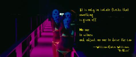 Spring Breakers Quotes. QuotesGram