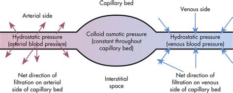 [DIAGRAM] Diagram Of Hydrostatic Pressure - MYDIAGRAM.ONLINE