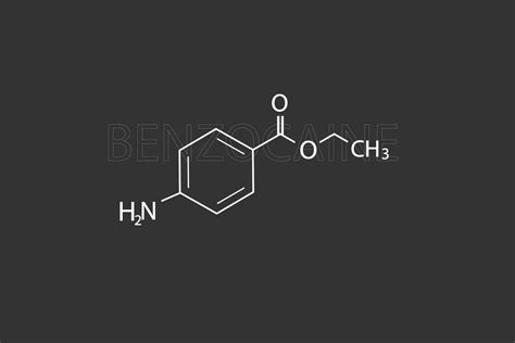 Benzocaine molecular skeletal chemical formula 36388709 Vector Art at ...