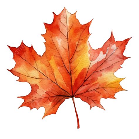 Watercolor Autumn Leaf For Decorative, Leaf, Leaves, Foliage PNG Transparent Image and Clipart ...