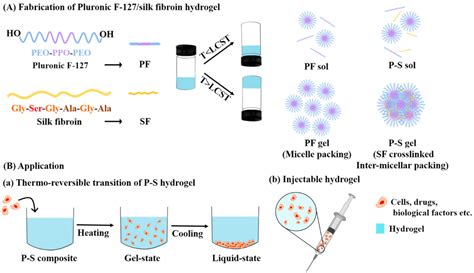 Materials | Free Full-Text | Pluronic F-127/Silk Fibroin for Enhanced ...