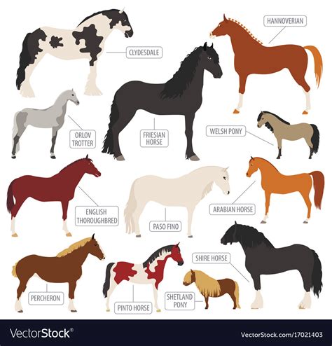 Horse breeding icon set farm animal flat design Vector Image