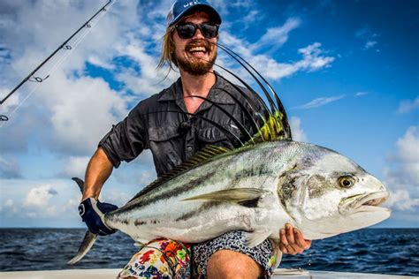 Roosterfish: Species Spotlight | Big Game Fishing | Sportquest Holidays