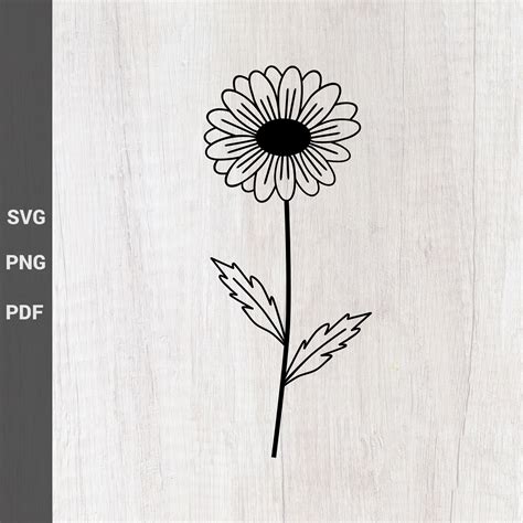 Daisy Outline SVG, Botanical Spring Flower Daisy Wall Art, Tattoo and ...