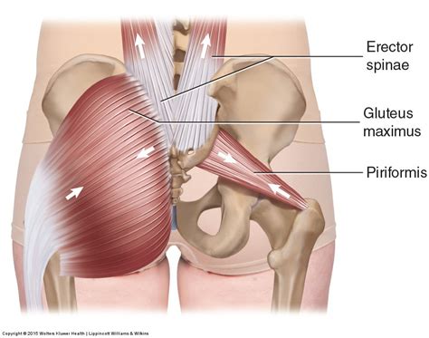 Sacroiliac Joint Injury