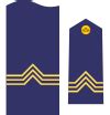 Category:Initial military rank insignia of the Air force of Spain ...