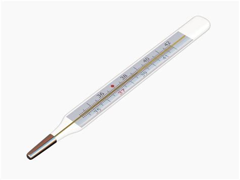 Mercury thermometer 3D model | CGTrader