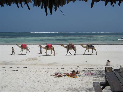 Budget Travel in Mombasa | Budget Travel Guide