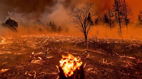 California's largest wildfire of the year raging as heat wave continues - ABC News