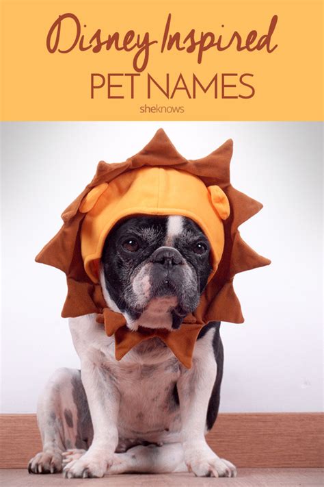 56 Disney-Inspired Pet Names Perfect for Your Little Prince or Princess – SheKnows