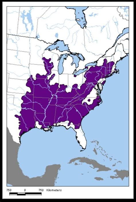 Map illustrating the distributional range of the Timber Rattlesnake ...