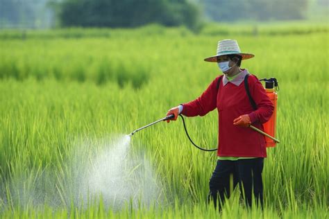 7 Agricultural Uses of Water in Farms - Powered by Orange