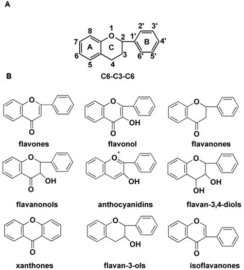 The structure of the flavonoids. (A) Flavan (C6-C3-C6) skeleton of ...