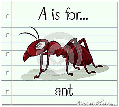 Flashcard Letter A Is For Ant Stock Vector - Image: 69269897