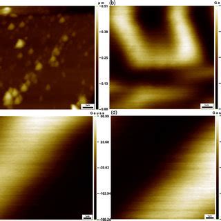 (a) Magnetic image of NdFeB demagnetized magnet by using GHP at 300 K.... | Download Scientific ...