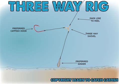 Three way rig | Catfish rigs, Catfish fishing, Fishing tips