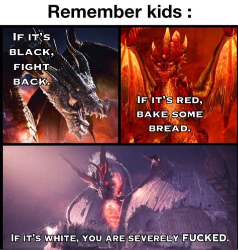 Fatalis Lore in a Nutshell : r/MonsterHunter