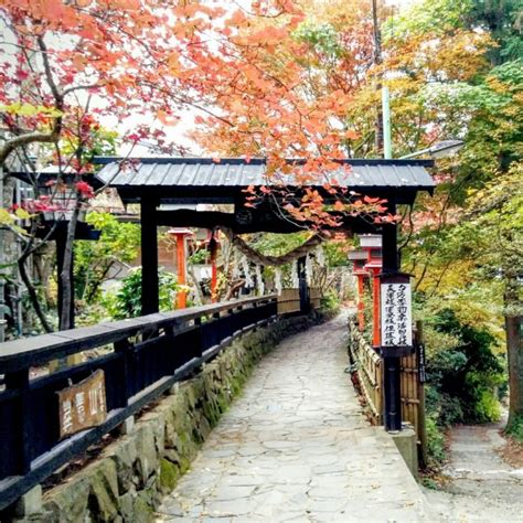 Mount Mitake (Mitakesan) tokyo autumn (12) - Living + Nomads – Travel tips, Guides, News ...