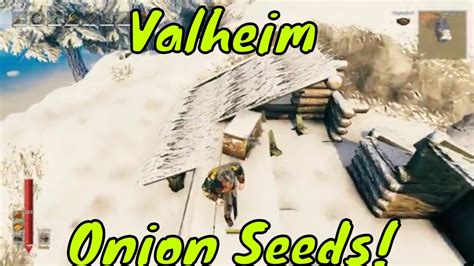 Valheim How to Find Onion Seeds! - YouTube