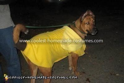 Coolest Dog Banana Costume