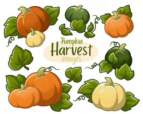 Pumpkin Harvest Clip Art Images Digital Download - Etsy