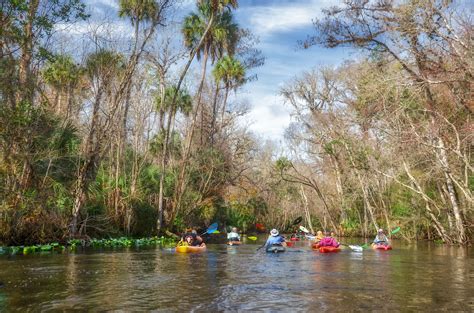 Ocklawaha River – Early Winter | Florida Paddle Notes