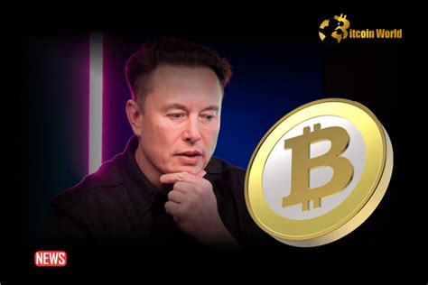 Elon Musk Considers Using Bitcoin (BTC) On X - BitcoinWorld