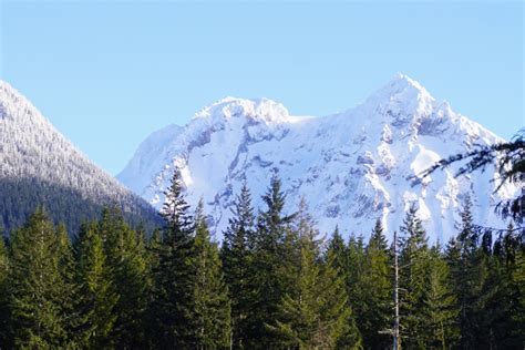 Images from a frozen Squamish Saturday - Squamish Chief