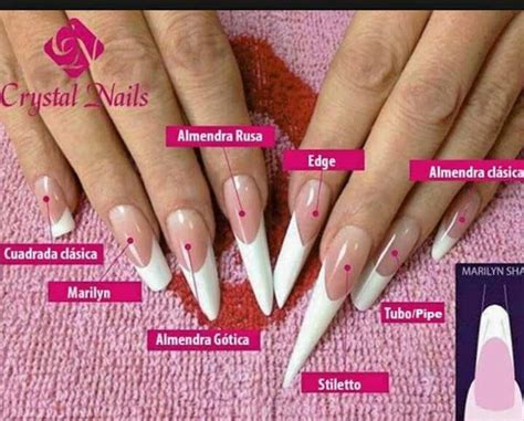 Diferent Nail Structure | Unghie gel, Forme delle unghie, Unghie