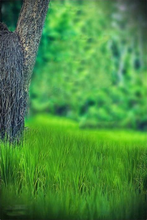 🔥 Green Grass CB Background For 2021 Editing | CBEditz