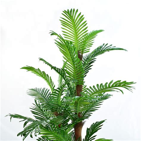 Wholesale 1.7m Small Artificial Palm Trees | artifical plants supplier