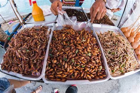 6 Types of Insects You Can Eat