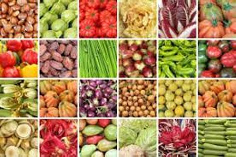 Agricultural products with distinctive identity - Daily Excelsior