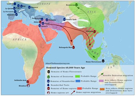 Neanderthal - Denisovan Hybrid Discovered