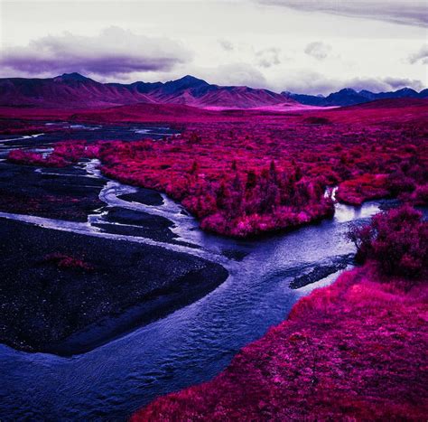 IlPost - Denali, Alaska (Daniel Zvereff) Wild Photography, Online Photography, Arctic Landscape ...