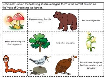 The Wright Ladies present the Types of Organisms Sort! This sort ...