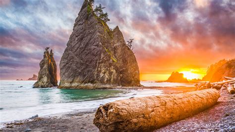 Ancient Forests of the Olympic Peninsula · National Parks Conservation Association