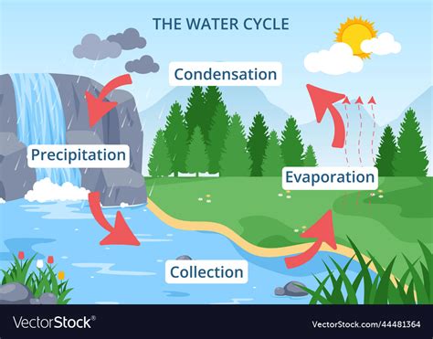 Water cycle of evaporation condensation Royalty Free Vector