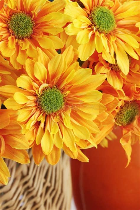 Autumn Bouquet stock photo. Image of november, flora - 15880390