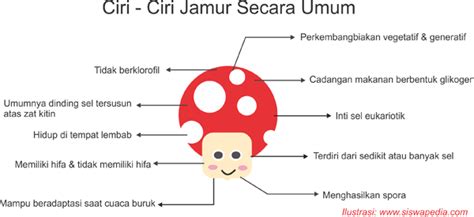 Ciri Ciri Jamur Dan Macam Macam Jenis Klasifikasi Jamur Permainan - Riset