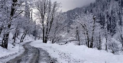 Himachal Pradesh Snowfall Time - werohmedia