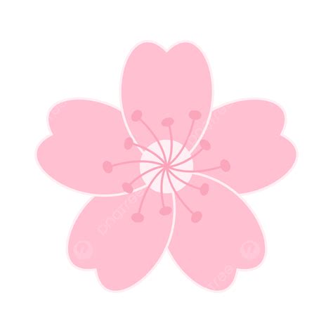 Hand Drawn Cherry Vector Art PNG, Cute Pink Hand Drawn Cherry Blossom ...