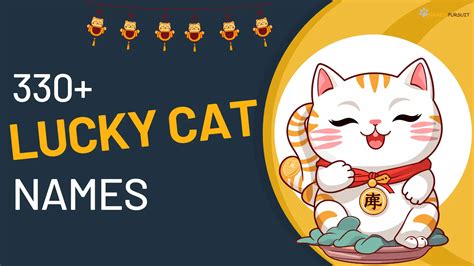 Lucky Cat Names [330+ Miraculous Choices]