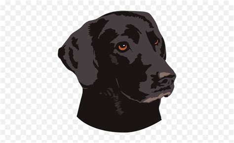 Black Dog Animal Logo - Transparent Png U0026 Svg Vector File Black Dog ...