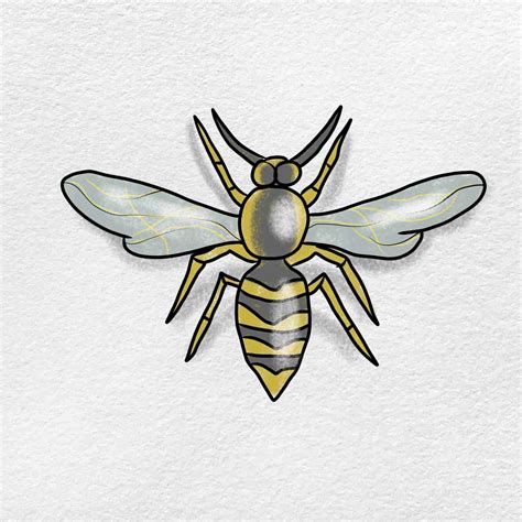 How to Draw a Wasp - HelloArtsy