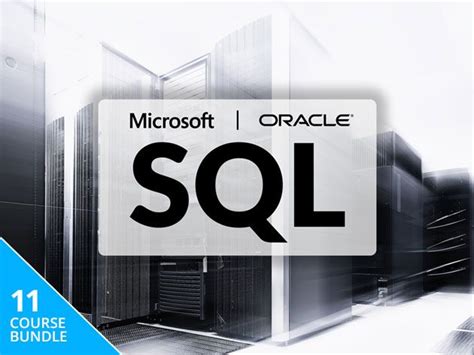 Dive into Data with this Microsoft & Oracle SQL Certification Training, Now $39