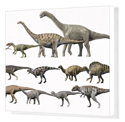 Print of Prehistoric era dinosaurs of Niger drawn to scale ...