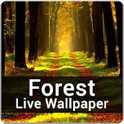 Forest Live Wallpaper - Nature Forest HD Wallpaper Android APK Free Download – APKTurbo