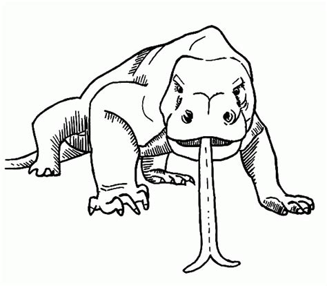 Komodo Dragon Coloring Pages - Coloring Home