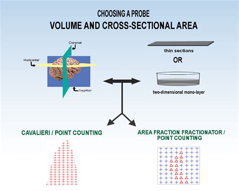 Volume – region – stereology.info